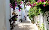 Туры в отель Bodrum Nova Suites Hotel