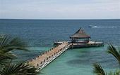 Туры в отель Ceiba Del Mar Beach & Spa Resort
