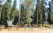 Туры в отель Пансионат Сосновый бор