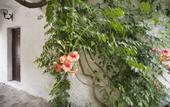 Туры в отель Mariva Bungalows & Yoga Retreat Center