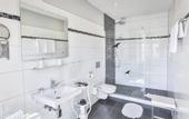 Туры в отель Hotel zum Goldenen Loewen