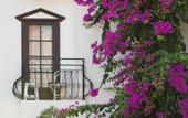 Туры в отель Mare Garden Hotel