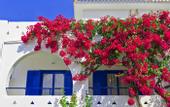 Туры в отель Sunrise Village Hotel