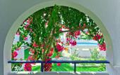 Туры в отель Sunrise Village Hotel