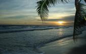 Туры в отель Nice Beach Hotel