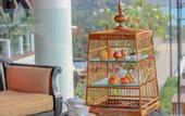 Туры в отель Intercontinental Koh Samui Resort