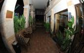 Туры в отель Cedar Hotel Aqaba