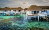 Туры в отель Machchafushi Island Resort & Spa Maldives, The Centara Collection