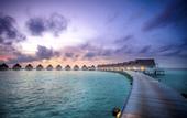 Туры в отель Machchafushi Island Resort & Spa Maldives, The Centara Collection