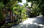 Туры в отель Machchafushi Island Resort & Spa Maldives, The Centara Collection