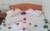 Туры в отель Art Hotel Guzelcamli