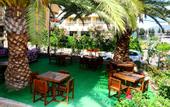 Туры в отель Nerium Hotel