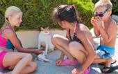 Туры в отель Santa Helena Beach Resort