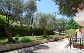 Туры в отель Studios Estrella del Mar