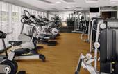 Туры в отель Novotel Dubai Al Barsha