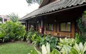 Туры в отель The Cottage Pattaya