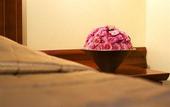 Туры в отель Ibis Styles Ljubljana Centre