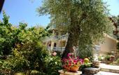 Туры в отель Villa Papoulas Apartments Corfu