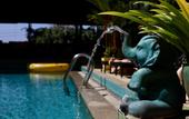 Туры в отель CC`s Hideaway Hotel