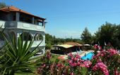 Туры в отель Zante Yliessa Hotel