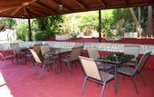 Туры в отель Zante Yliessa Hotel