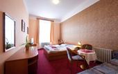 Туры в отель Hotel U Cerneho Orla