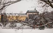 Туры в отель Chateau Zbiroh
