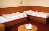 Туры в отель Hotel Grand Uherske Hradiste