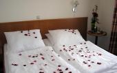 Туры в отель Hotel Grand Uherske Hradiste
