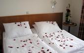 Туры в отель Hotel Grand Uherske Hradiste