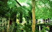 Туры в отель Koh Chang Lagoon Resort