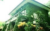 Туры в отель Koh Chang Lagoon Resort
