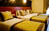 Туры в отель Dekor Hotel