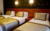 Туры в отель Dekor Hotel