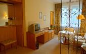 Туры в отель Parkhotel Luisenbad