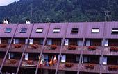 Туры в отель Centro Pineta hotel Pinzolo