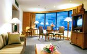 Туры в отель Century Park Hotel
