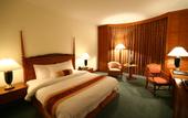 Туры в отель Century Park Hotel