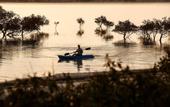 Туры в отель Anantara Sir Bani Yas Island Al Yamm Villa Resort