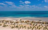 Туры в отель Anantara Sir Bani Yas Island Al Yamm Villa Resort