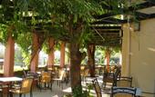 Туры в отель Century Resort Hotel