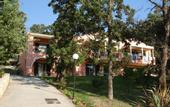 Туры в отель Century Resort Hotel