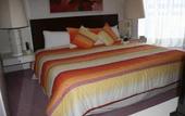 Туры в отель Century Zona Rosa