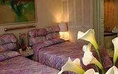 Туры в отель Century Zona Rosa