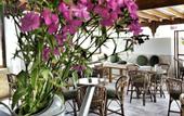 Туры в отель Cesurlar Hotel