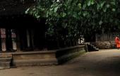 Туры в отель Cinnamon Citadel Kandy