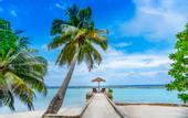 Туры в отель Ellaidhoo Maldives by Cinnamon