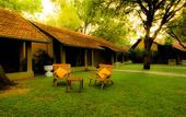 Туры в отель Chaaya Village Habarana