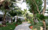 Туры в отель Matcha Samui Resort