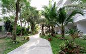 Туры в отель Matcha Samui Resort
